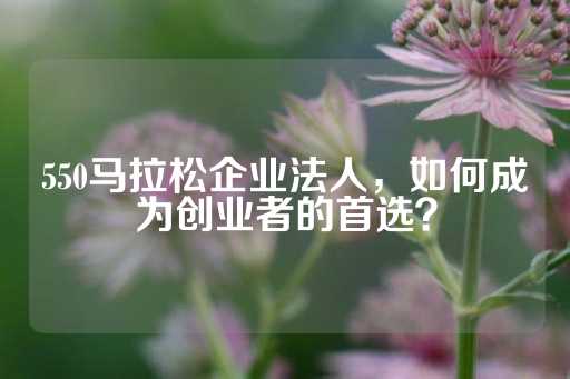 550马拉松企业法人，如何成为创业者的首选？