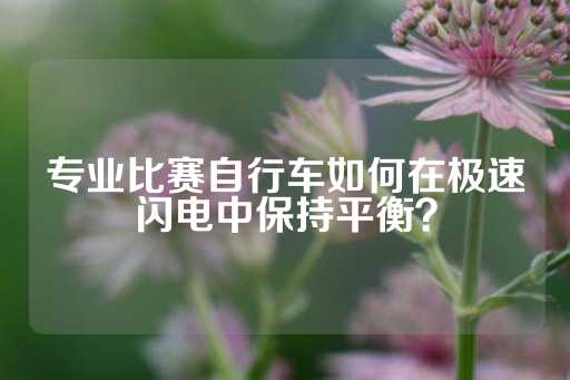 专业比赛自行车如何在极速闪电中保持平衡？