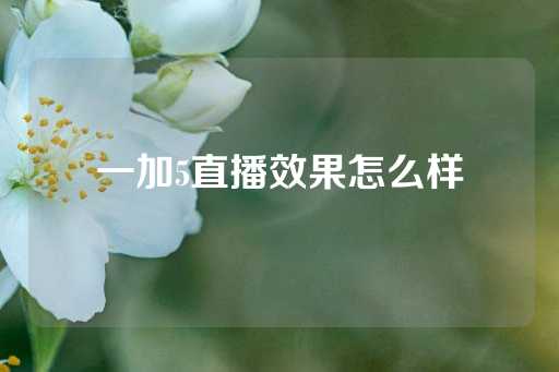 一加5直播效果怎么样