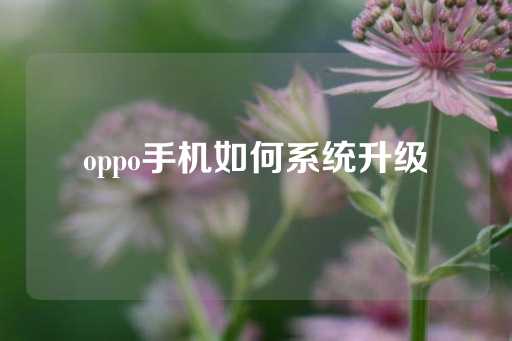 oppo手机如何系统升级